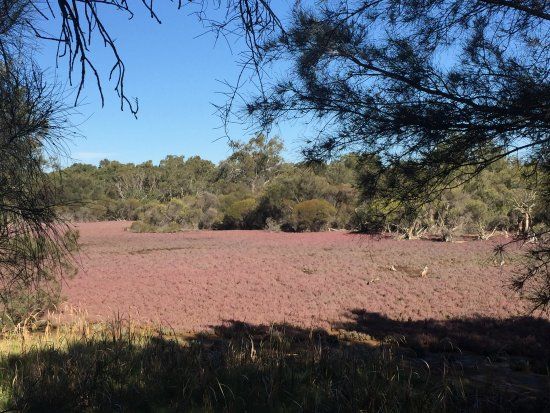 Canning River Regional Park